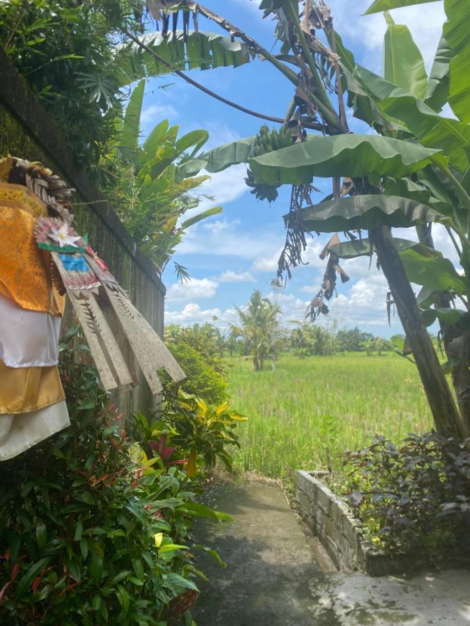 Villa Jepun Ubud  Bagian luar foto